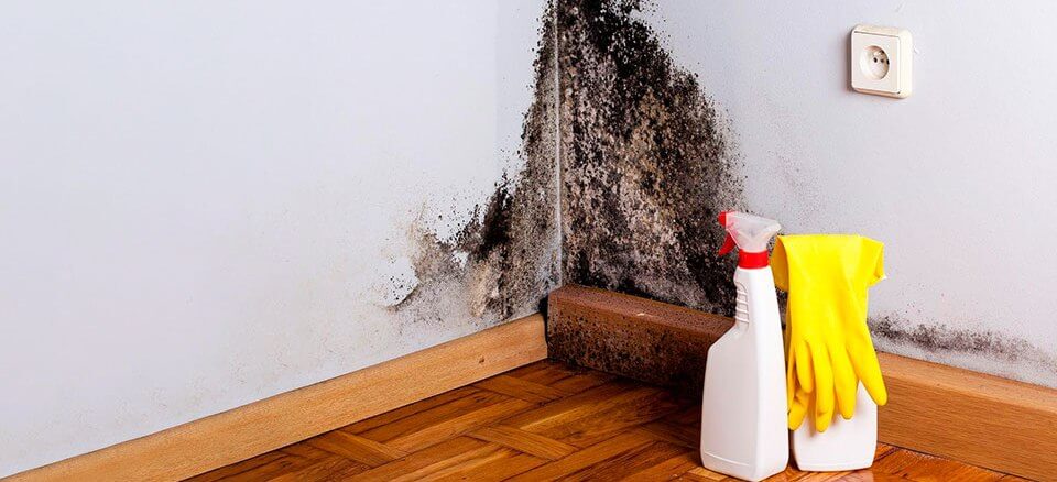 Как убрать сырость в доме из газобетона? — АлтайСтройМаш