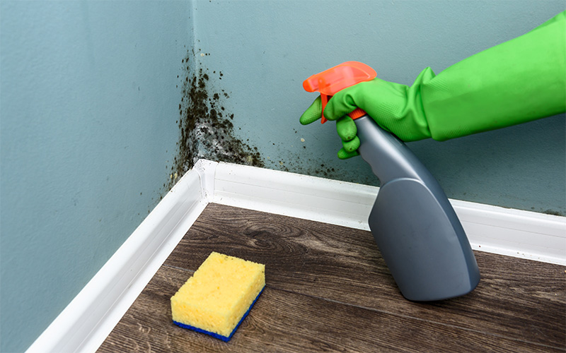 сырость в доме из газобетона