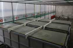 Оборудование для газобетона