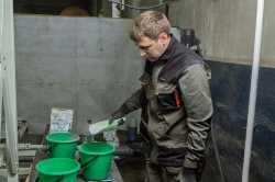 Оборудование для газобетона